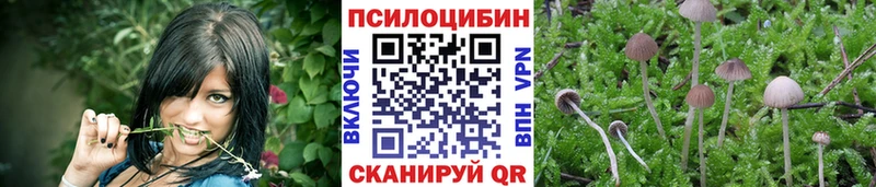 Псилоцибиновые грибы Magic Shrooms где купить наркотик Нижний Ломов